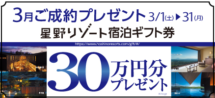 3月成約キャンペーン